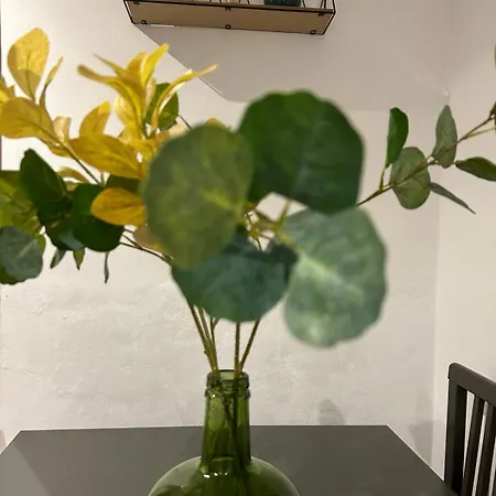 Playa - 2 Apartament *