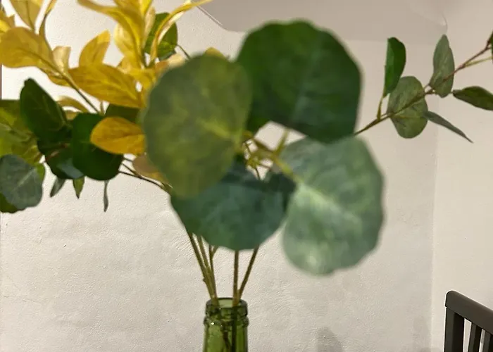 Playa - 2 Appartement *